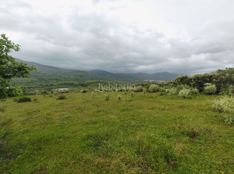 Foto a9d7c8c9-1aa8-4ccb-825e-a76f8aca79fa. Finca rústica a n/a a Cuacos de Yuste