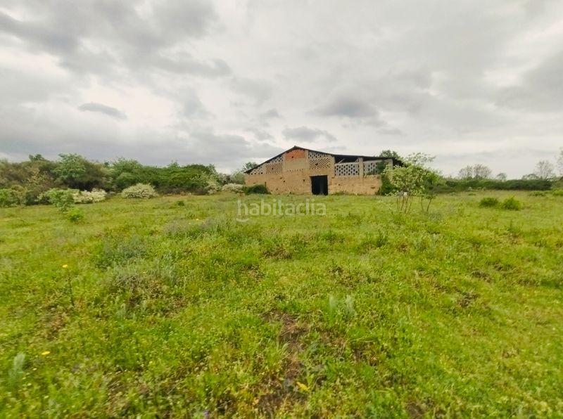 Foto adf5752f-a64d-4508-8a64-e298a02a957b. Finca rústica a n/a a Cuacos de Yuste