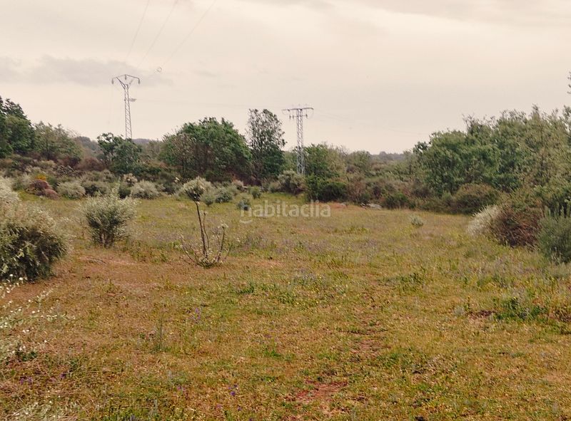 Foto d82178f3-31ee-4f98-a89b-0417cf8dced9. Finca rústica a n/a a Cuacos de Yuste