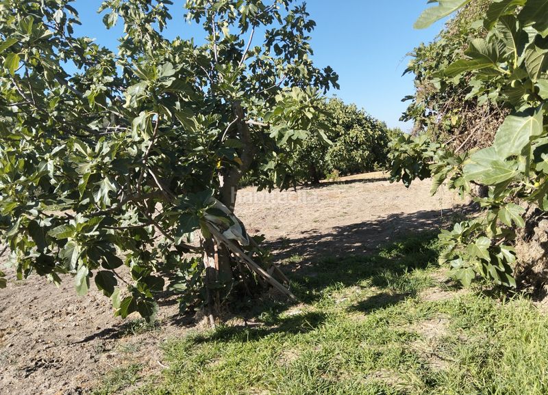 Foto 2ebfab98-e1be-44f7-a022-227c63138bdd. Finca rústica a calle jeromín 9 a Pasarón de la Vera