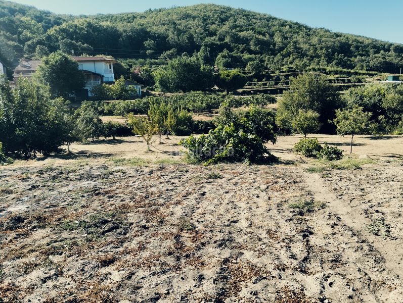 Foto 4a192b3a-6164-48ff-ade4-8c74daafff84. Finca rústica a calle jeromín 9 a Pasarón de la Vera
