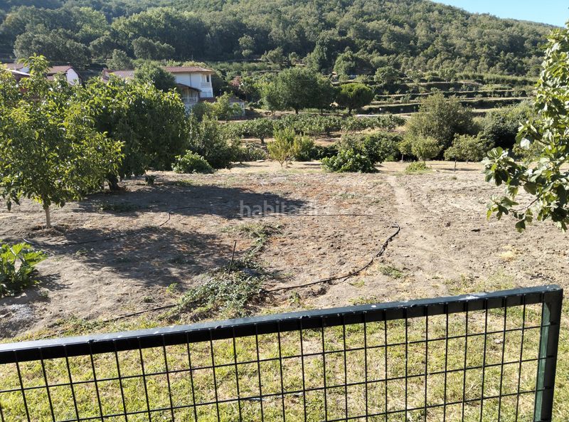 Foto 7d50dee7-4d0e-4d61-bebd-b11cfe7761c6. Finca rústica a calle jeromín 9 a Pasarón de la Vera