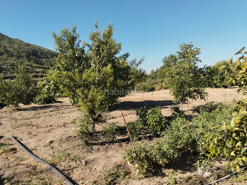 Foto 8e81b6ca-c1b2-4e0e-ad7b-d9a3110ce945. Finca rústica a calle jeromín 9 a Pasarón de la Vera