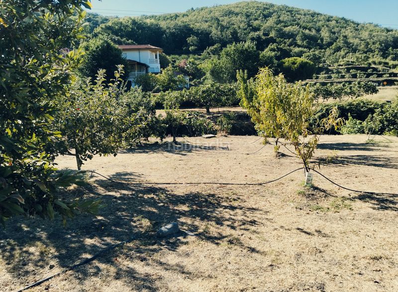 Foto a62762b7-972b-443a-b3ea-24a155fd1ade. Finca rústica a calle jeromín 9 a Pasarón de la Vera