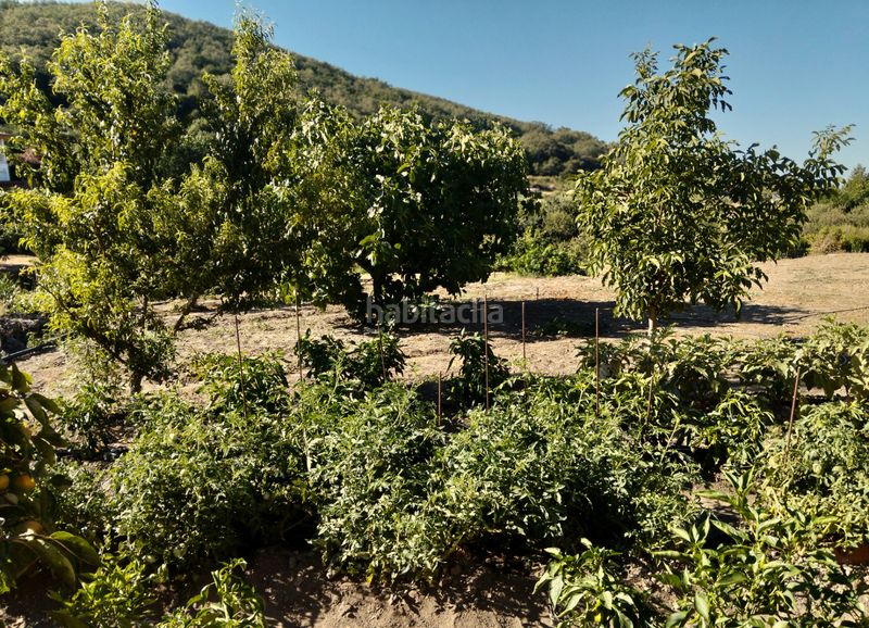 Foto b4630493-8b0a-46c6-8453-28f2adf5f63b. Finca rústica a calle jeromín 9 a Pasarón de la Vera