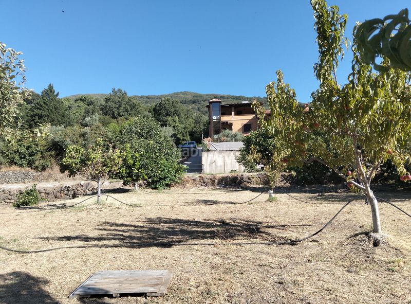 Foto d2cb81f7-20d5-4d29-a073-b650a6028a1a. Finca rústica a calle jeromín 9 a Pasarón de la Vera