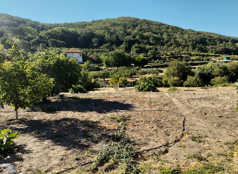Foto d720a2a1-896a-44b8-b196-f4b3d3c6db84. Finca rústica a calle jeromín 9 a Pasarón de la Vera
