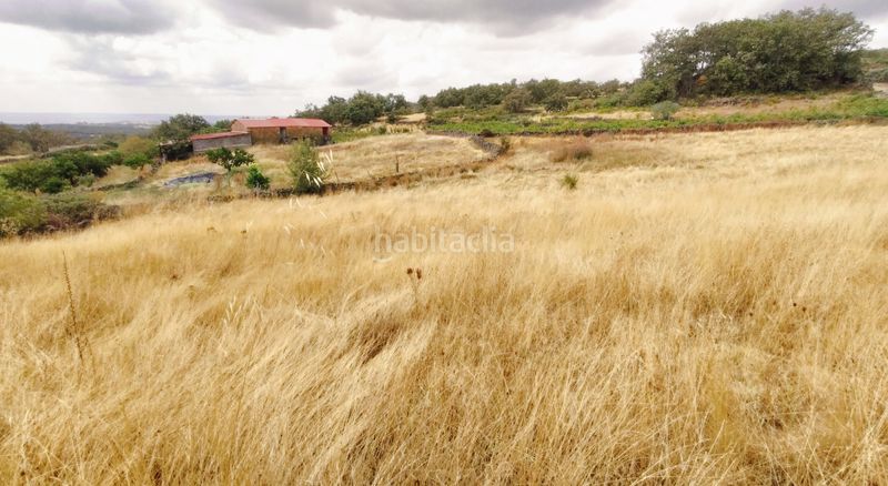 Foto 129ab897-34b0-4d97-b235-94f958713882. Finca rústica a n/a a Barrado