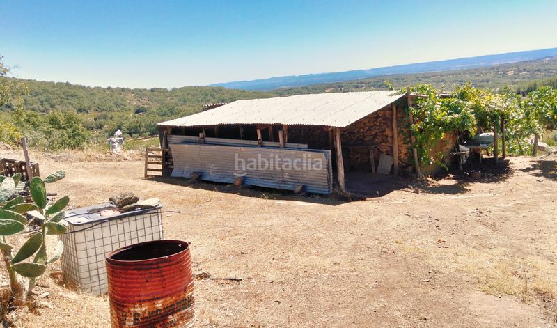 Foto 038b1138-18b2-4300-82f8-691fdd1dfff9. Finca rústica a Barrado