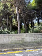 Residential Plot in Can Picafort. Terreno en venta en can picafort
