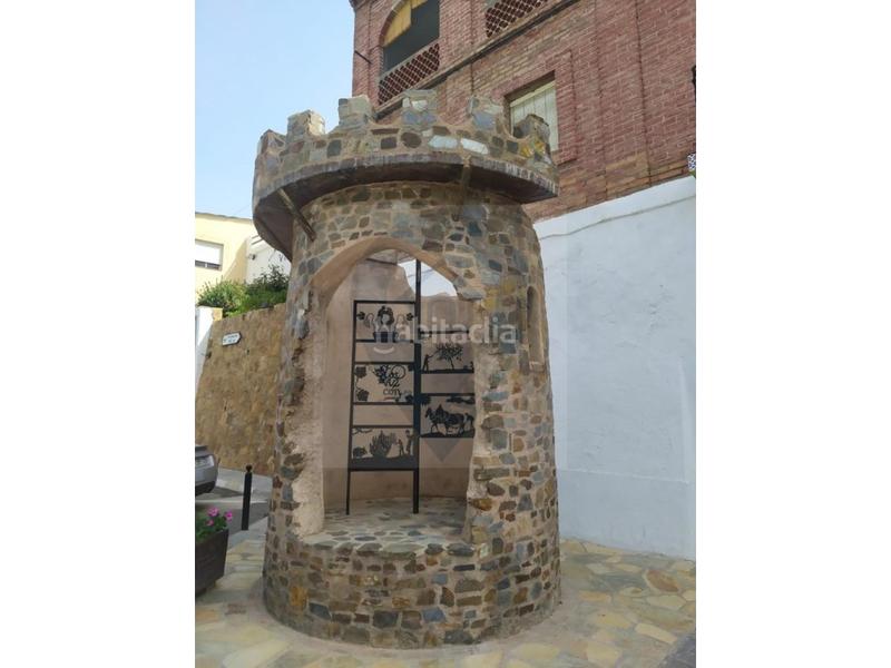 Foto 87caecec-5b24-49b2-a5fb-6bce7a43947a. Mas dans Torvizcón