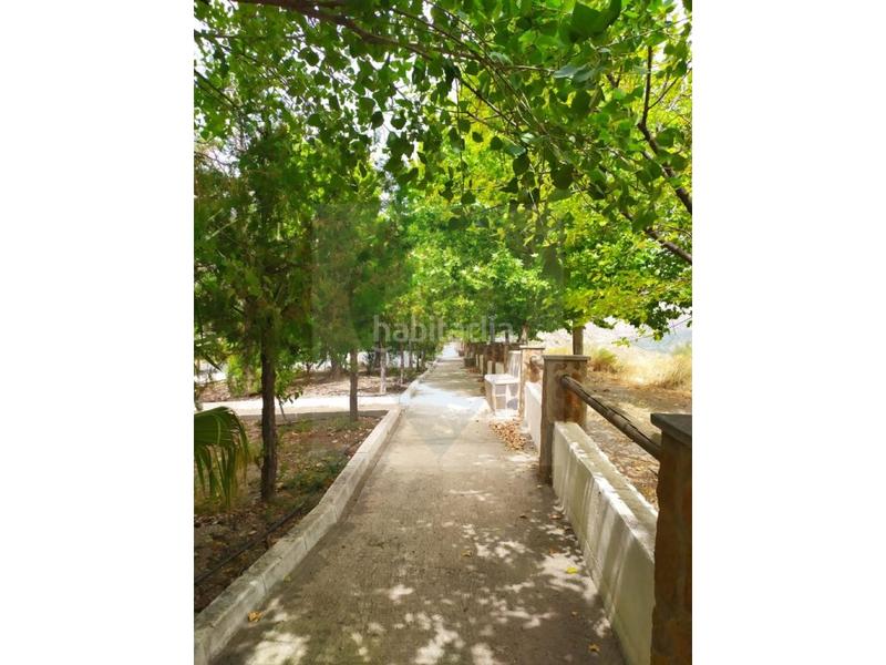 Foto da6a895e-05ba-4d5d-8ad0-446d95626ffb. Mas dans Torvizcón