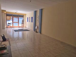 Business premise in Roda de Ter