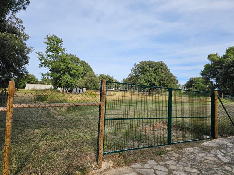Foto 9137e883-f7da-41ed-acf2-cd15b176da93. Terreno residencial terreny edificable al brull en Brull (El)