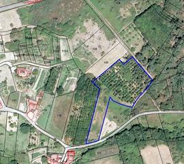 Terreny residencial  Aldea rabal da eirexa. 6.500m2 finca rustica en a merca frutales y pozo