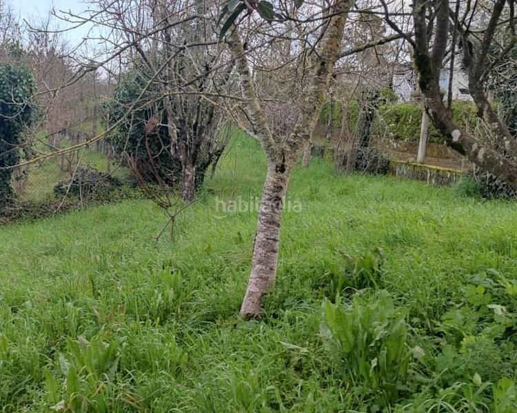 Foto 58372862-b728-469d-a127-7c5f081aa5ee. Mas dans San Cibrao das Viñas