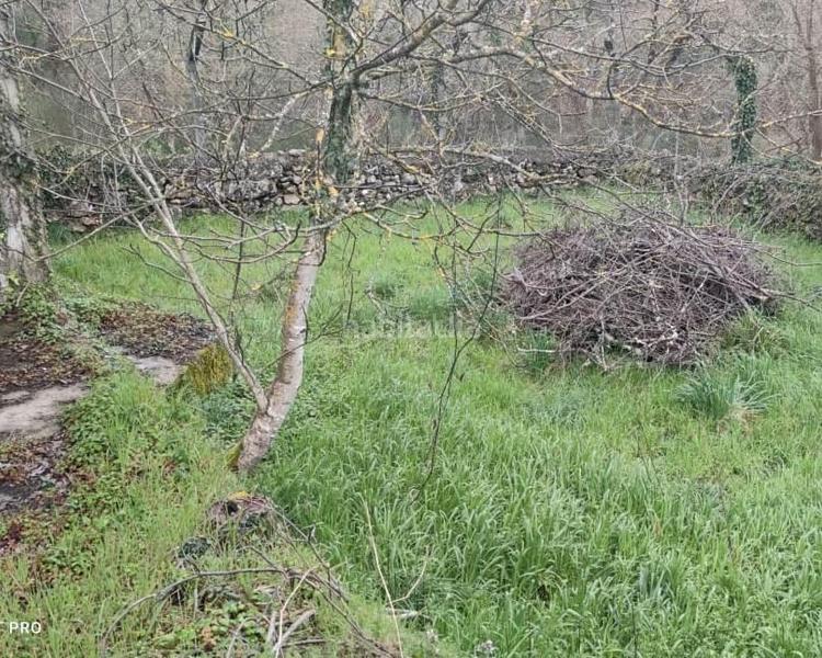 Foto b0df3a32-4591-4ac6-9bf3-9618d16533f6. Mas dans San Cibrao das Viñas