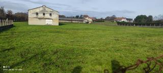 Terreny residencial  Lugar cortiñas. 99.900 finca 10.000m2  nave de 1.200m2 pereiro de aguiar