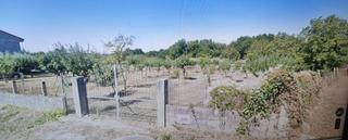 Terreny residencial  Amoeiro. 49.000  1.640m2 terreno edificable amoeiro