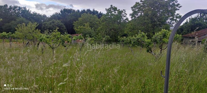 Foto 65434f41-0d04-4aff-b1ea-7a805413b0a4. Terreny residencial a Amoeiro