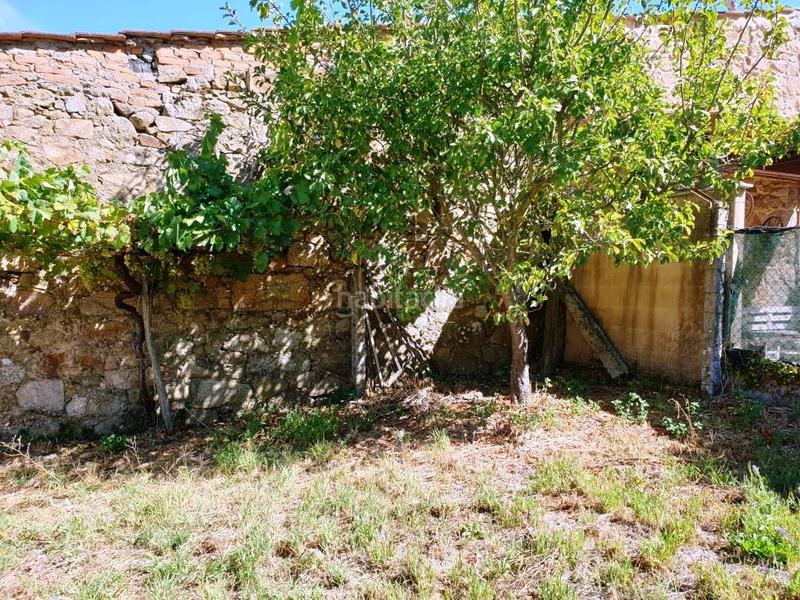 Foto 1e1eb081-da98-4d5c-b323-8fe672dec5cc. Mas dans Barbadás