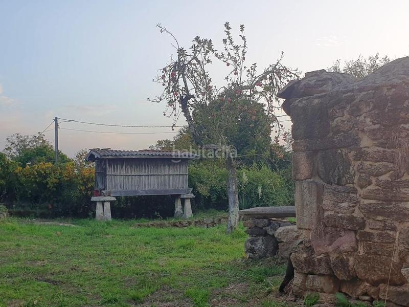 Foto 9ac7b6aa-ff28-4efa-8353-4ce99cf74ea1. Casa amb aparcament a Peroxa (A)