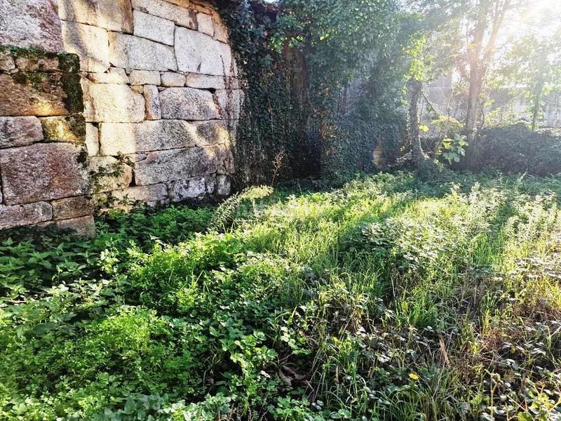 Foto a8cc54e2-f314-4ac3-8430-353a5e9bcede. Mas dans Esgos