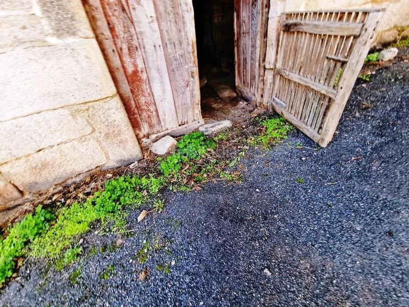 Foto cde7248e-f344-4428-99a4-c3fc8ea3d244. Mas dans Esgos