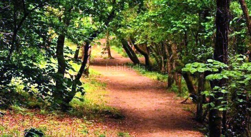 Foto d2bfd096-6d32-47f6-acd9-4a52a279dbdd. Mas dans Esgos