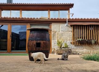 Casa a San Cibrao das Viñas. 219.000 casa san ciprian de viñas