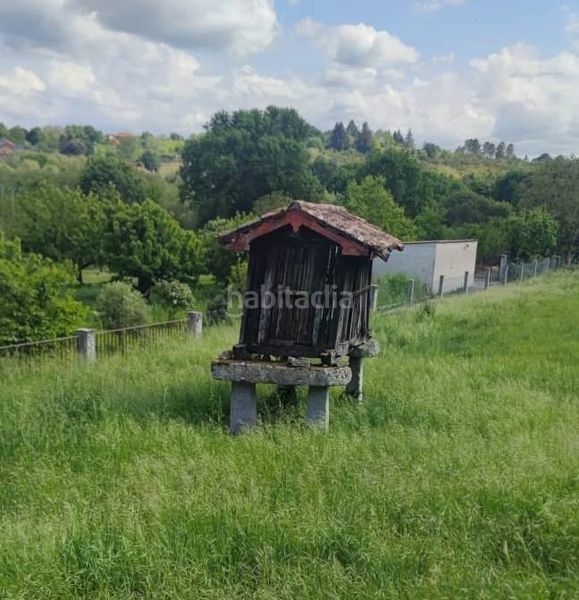 Foto a714e2b8-5446-4095-ad16-293bdada61dd. Masia a Barbadás