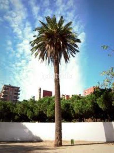 Foto 4f2f4057-5813-4e30-91d6-62dbe8557143. Rent business premise in La Verneda - La Pau Barcelona