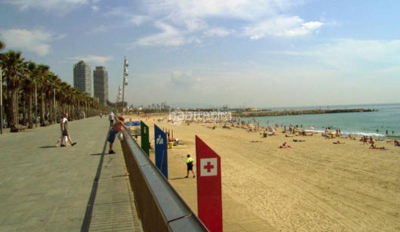 Foto a290fc41-19bc-45e2-ae19-271df662dd4e. Pis a Provençals del Poblenou Barcelona