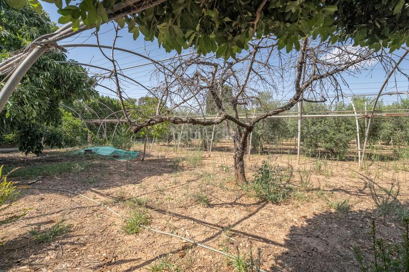 Foto 2b240c14-44ad-444d-81c3-b8645020e265. Bauernhof mit heizung parking in Riudoms