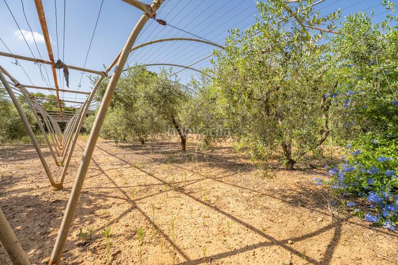 Foto 43d9a77e-1358-4327-b4c5-8e17a1c8f5ad. Bauernhof mit heizung parking in Riudoms