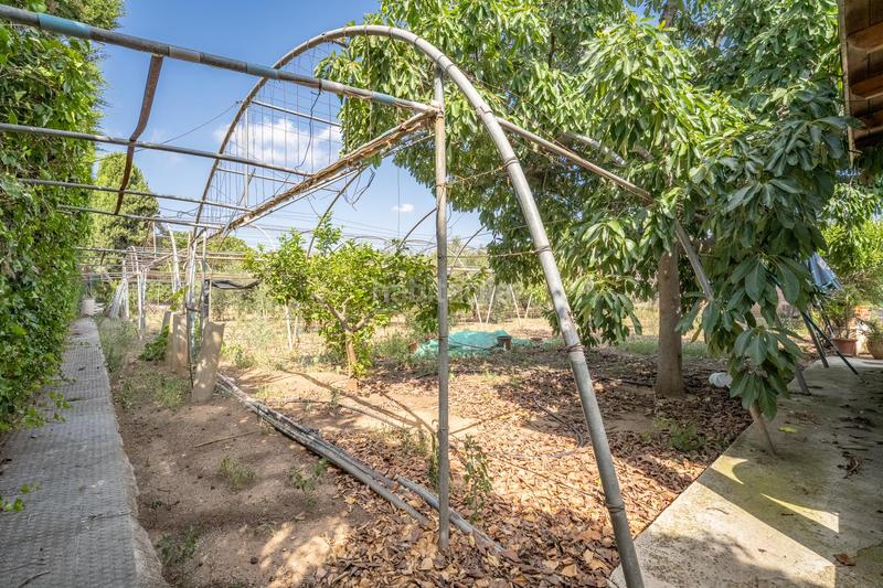 Foto 496ed207-4b6d-43a2-8fa3-e3addb5567a5. Bauernhof mit heizung parking in Riudoms