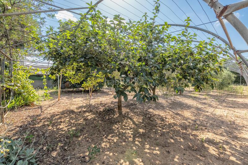 Foto 6bbf6ca2-094e-47ab-8f21-f737ca3c8ebb. Bauernhof mit heizung parking in Riudoms