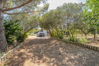 Country house  De l'arbre. Finca rústica de 4.000 m con vivienda de 120 m a 1 km de riudoms