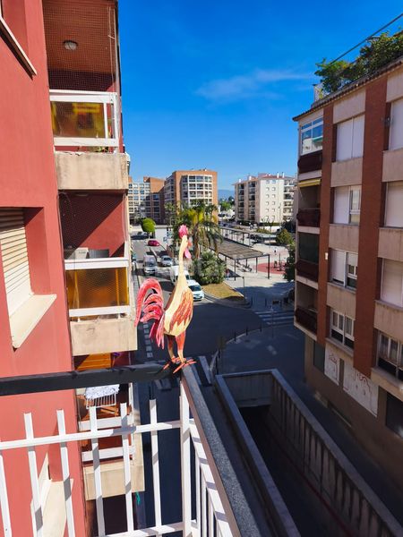 Foto 1d18f5de-95c1-4d6a-a936-5ae777c1ad1a. Pis a Mas de Clariana Cambrils