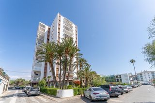 Pis  Josep maria crusat