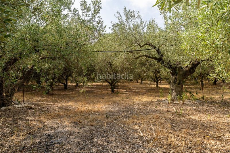 Foto 87b81e96-e20c-4fbd-ae57-be0c2e7c908e. Masia amb calefacció aparcament a Poble Mont-roig del Camp