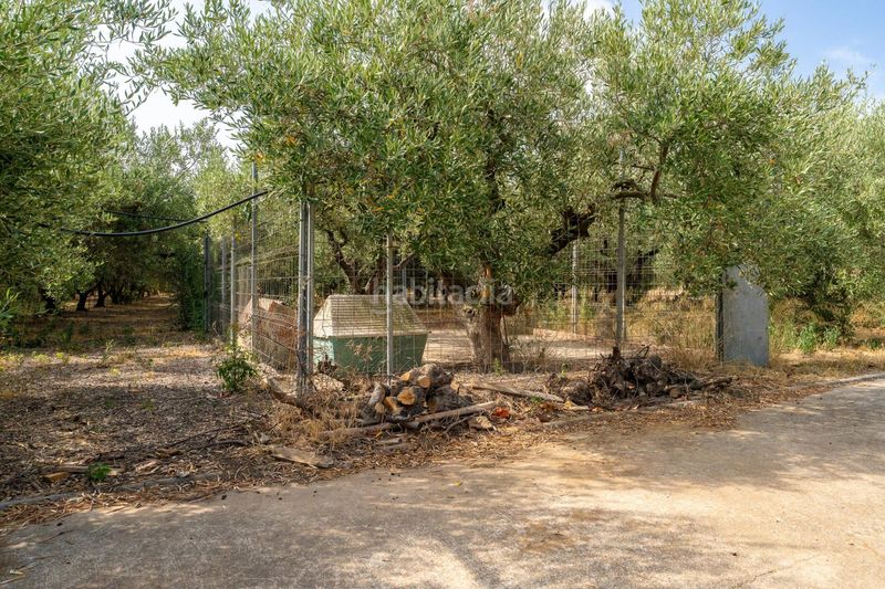 Foto e99ab49d-e5bd-47d7-a35d-afd8b3185351. Masia amb calefacció aparcament a Poble Mont-roig del Camp