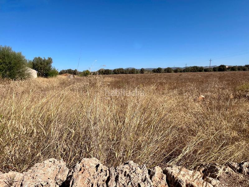 Foto 51b17b22-38a4-46cd-8d5f-c38e8c8e3871. Masia amb aparcament a Campos