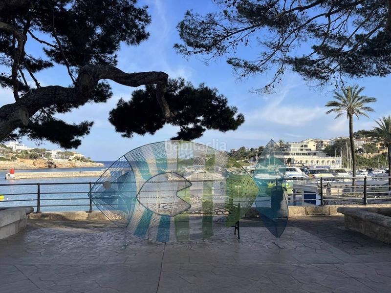 Foto 79f7d8dc-fa0b-4625-9eff-1e7e31e2273d. Finca rústica a calle de marco polo 4 a Porto Cristo Manacor