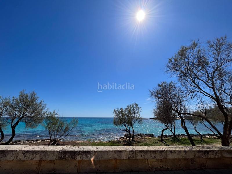 Foto 19fd82be-95ab-4c2b-b072-f5fe8364af7e. Rent studio with heating in Sant Llorenç des Cardassar