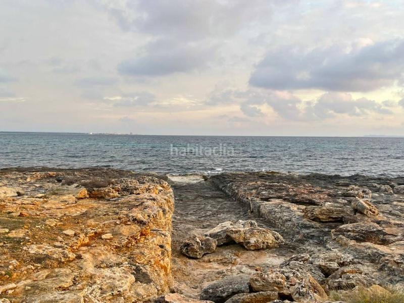 Foto 248c98f9-c583-44ea-a1a0-19d31bb60a96. Rent flat with heating parking in Campos