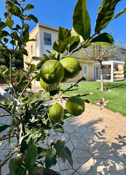 Foto 9c25fcea-4231-4850-a976-ce1dc1859eff. Miete appartement mit heizung parking pool in Sant Llorenç des Cardassar