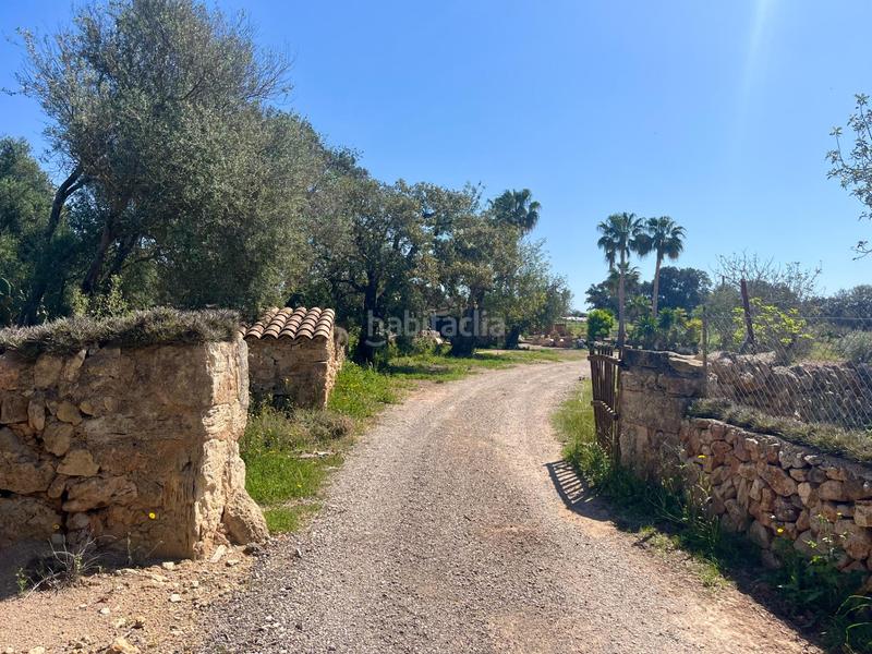 Foto 7af48e9f-63b6-4011-9f45-43e099407ae7. Affitto casale con riscaldamento parcheggio piscina in Felanitx