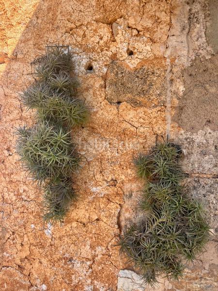 Foto 896329fc-6c2c-4e27-bbec-a5171d4e0443. Lloguer masia amb calefacció aparcament piscina a Felanitx