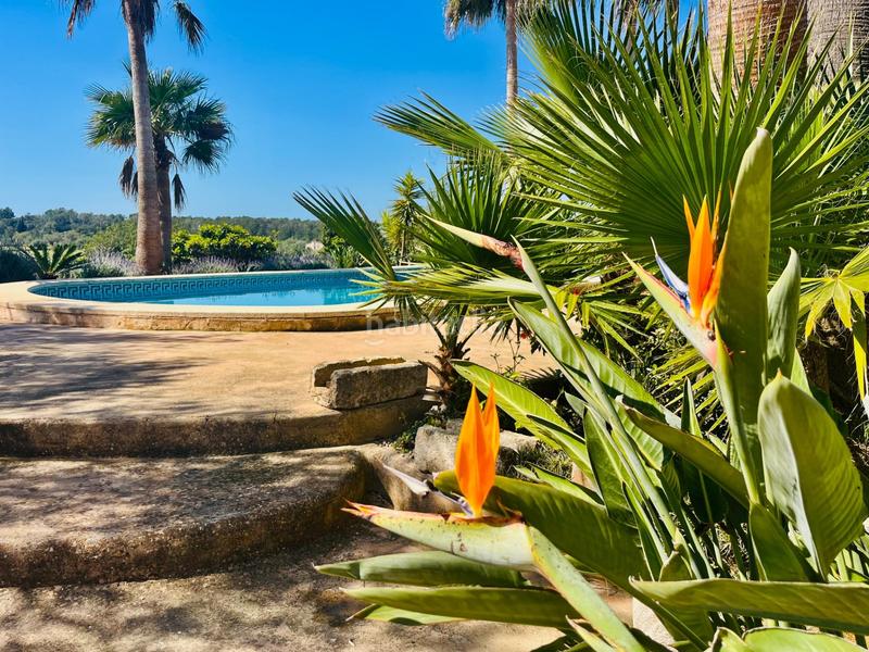 Foto 9ec7c008-d8ce-4b94-92a4-fdb1b137b90e. Location mas avec chauffage parking piscine dans S´Horta - Cas Concos des Cavaller - Es Carritxó Felanitx